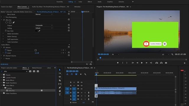 Subscribe Button Animation Using Adobe Premiere Pro