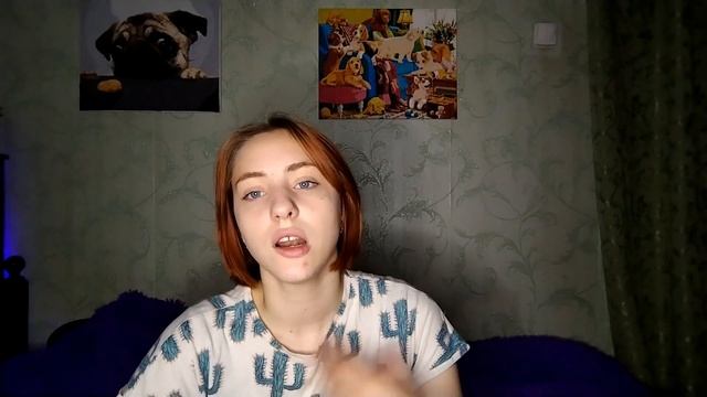 Как помочь питомцу справится с жарой смотреть онлайн
