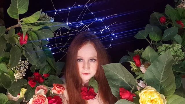 Приветствие смотрителей.Путь саламандры смотреть онлайн