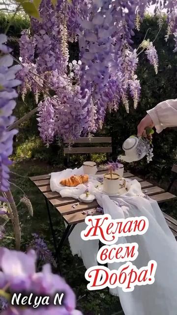 Доброе утро . Добрый вечер. ВидеоОткрытки на каждый день смотреть онлайн