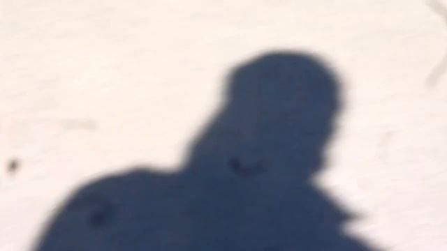 Весна! Первые цветы, первая травка! смотреть онлайн