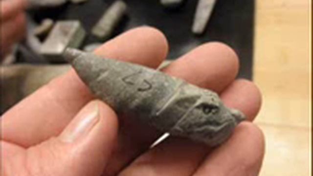 Exceptional Nautiloid Fossils смотреть онлайн