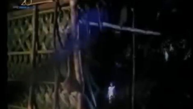Virgin 2 |Full Movie Tagalog Bold