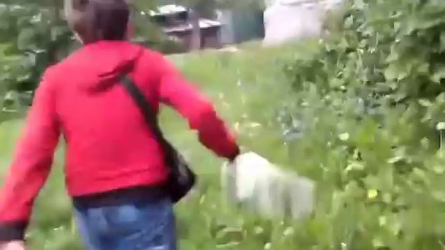 2 серия мира снюсоедав 😂😂😂😂😂😂😂 смотреть онлайн