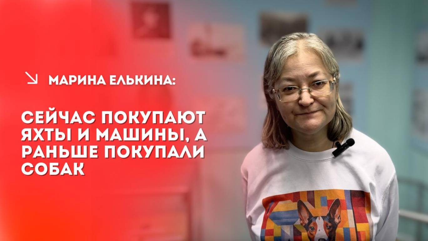 Марина Елькина: Сейчас покупают яхты и машины, а раньше покупали собак смотреть онлайн