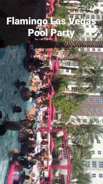 Flamingo Las Vegas pool party смотреть онлайн