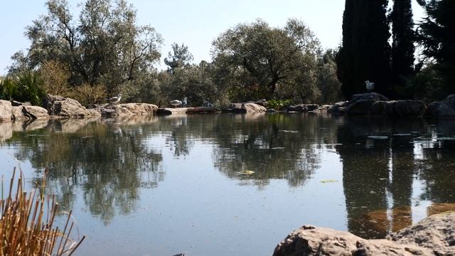 Партенит парк Айвазовского 4K смотреть онлайн