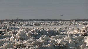 ЛЕДОХОД РЕКА ПЕЧОРА ГОРОД НАРЬЯН-МАР 2024 ГОД