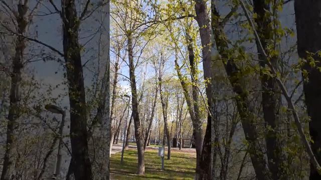 Весенние тополя смотреть онлайн