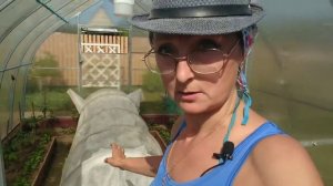 Видео привет дачникам с 6 соток! 18 мая 2021 год. 35 градусов тепла и ветер..