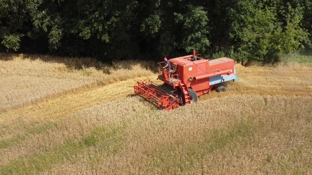 🇵🇱 ŻNIWA 2024 ㋡ TYLE ZESTAWÓW JESZCZE NIE BYŁO?! ☆ 2X URSUS 1614 ☆ CLAAS LEXION 7500 ☆ BIZON Z056 смотреть онлайн