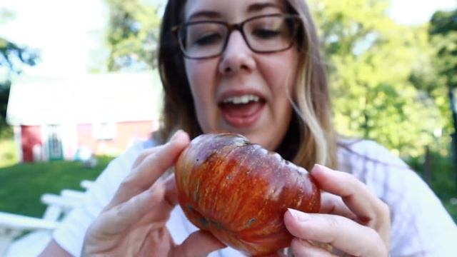 Tomato Taste Test Series (Over 40 varieties!) | Part 3 Slicer Tomatoes смотреть онлайн