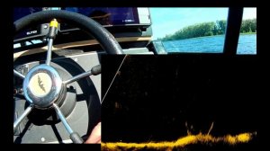 Ротатор D&M обзор / Коряжка полная хищника / Ловля с актив таргет