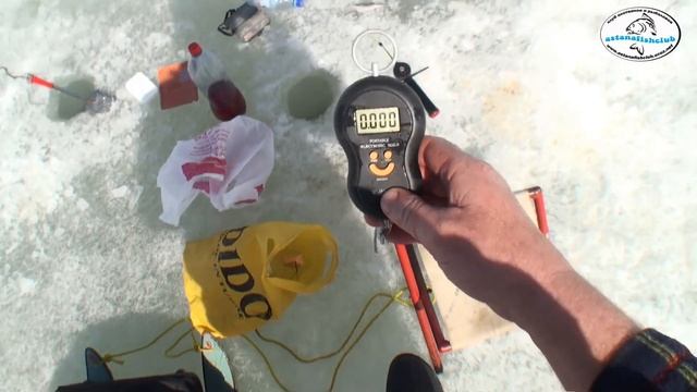 Кургальджино. Рыбалка по последнему льду.