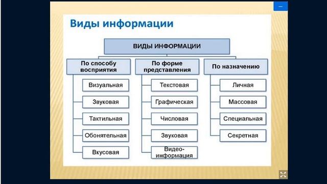 информатика 19 02 2022 9 43 26 смотреть онлайн