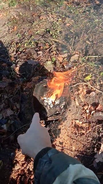 как удалить пеньки с участка смотреть онлайн