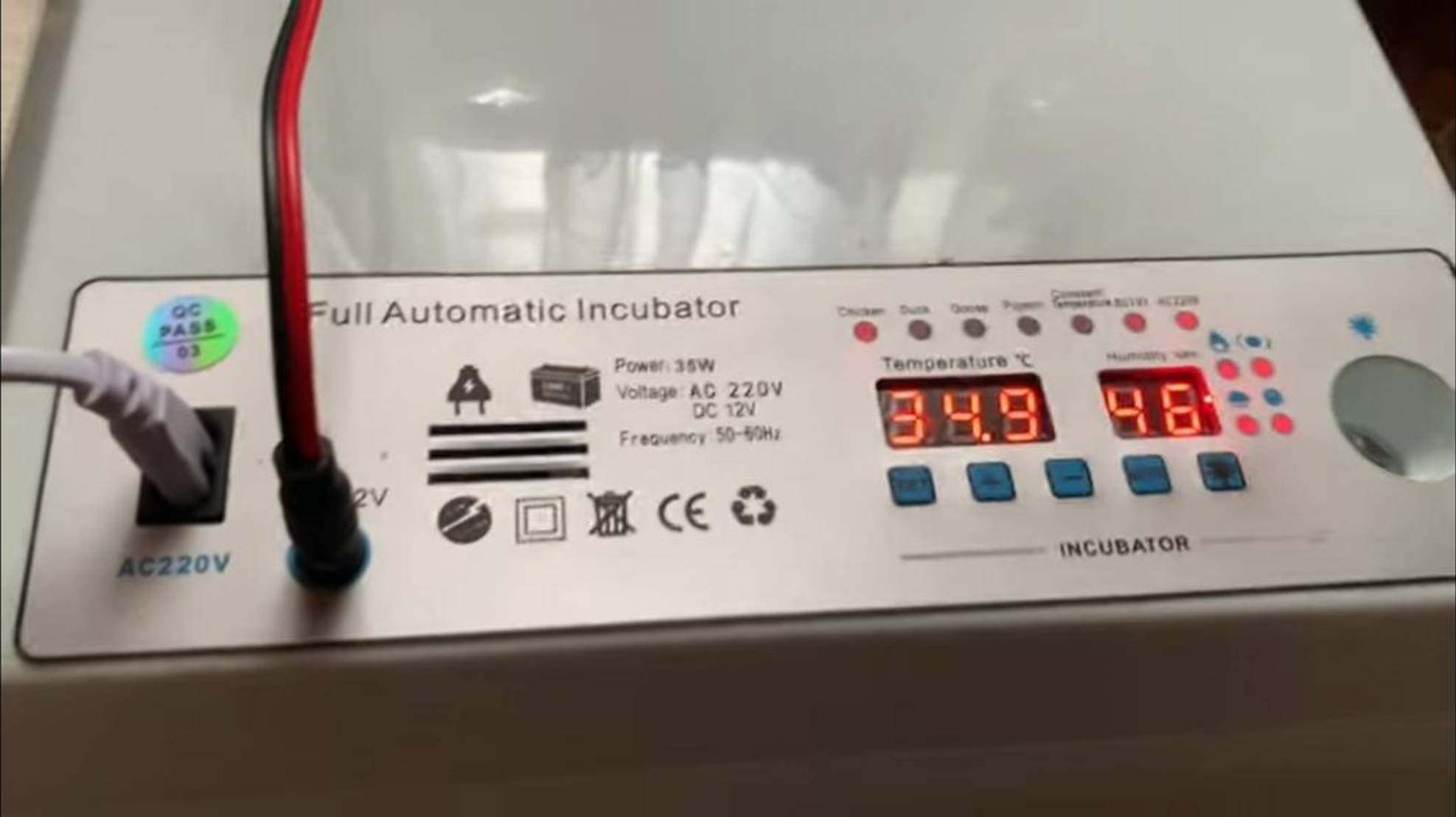 Вывод 🐣🐥🐣Цыплят начался в инкубаторе РЯБА 36 и под квочкой😊28 марта 2025 года смотреть онлайн