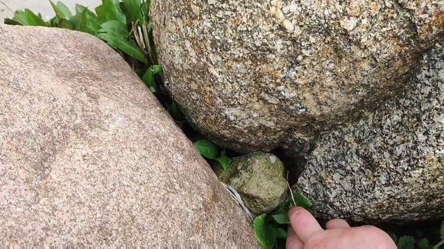 А посылки ведь бывают разными. Так хто из нас усетаки врот?🤔 смотреть онлайн