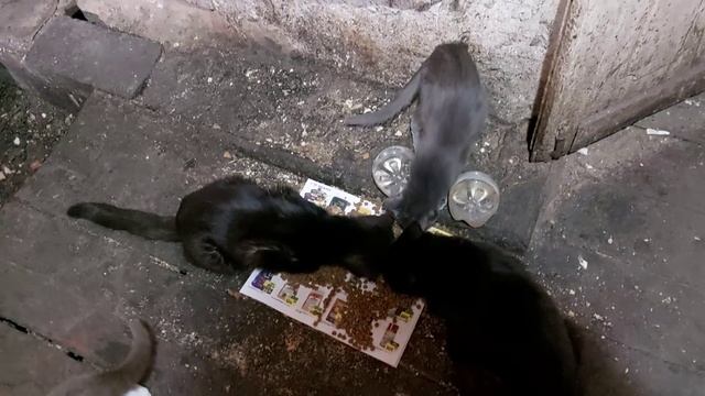 Любаня вся в делах! смотреть онлайн