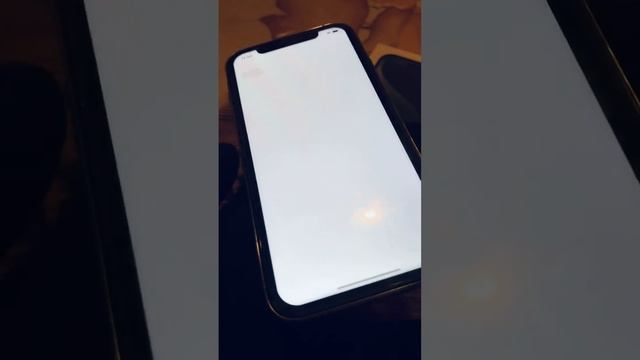iPhone XR в корпусе iPhone 15 Pro смотреть онлайн