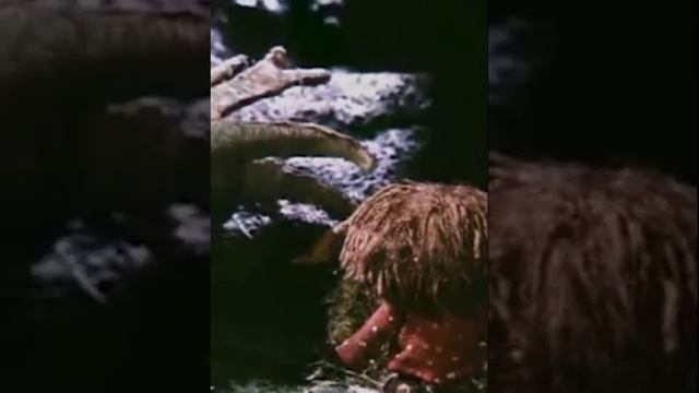 Наконец Зима)) смотреть онлайн