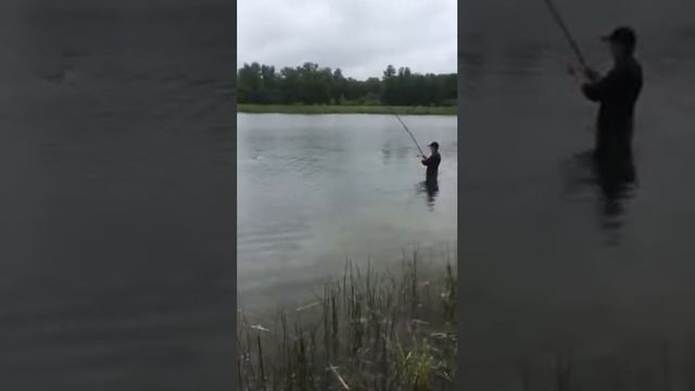 Карпуша на фідер!!! смотреть онлайн