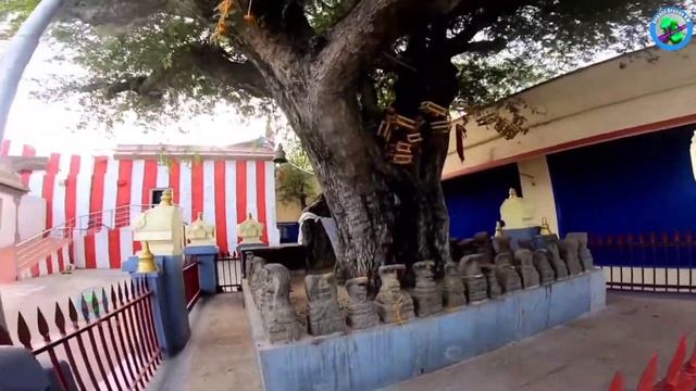 என்னது 625 படிகள் ஏறணும்மா! Thirumalai Kumaraswamy Temple, Panpoli - Temple | Ungalil Oruvan RM смотреть онлайн