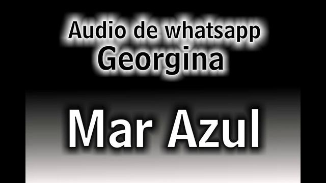 Audio de whatsapp - georgina "La loca de Mar Azul" смотреть онлайн