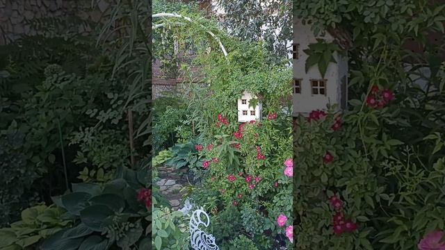 Россия. Уфа. Сад Аллы. Июнь. 2024. Сипайлово смотреть онлайн