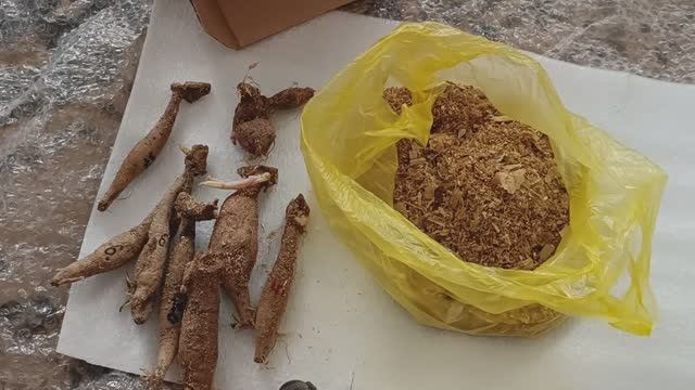 Обзор посылки с клубнями георгин от частного продавца #георгины #клубнигеоргин #цветы #сад #растения смотреть онлайн