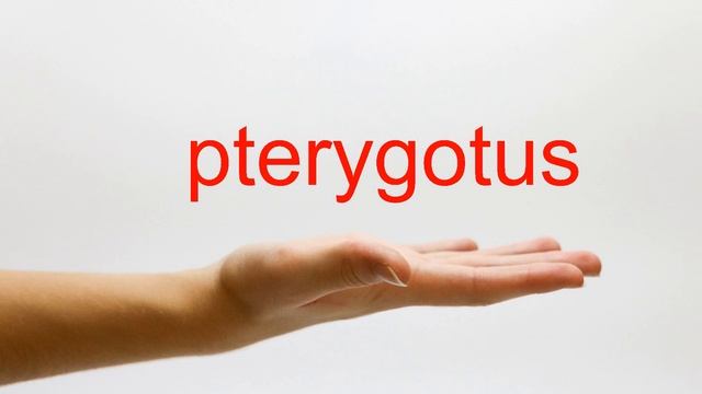 How to Pronounce pterygotus - American English смотреть онлайн
