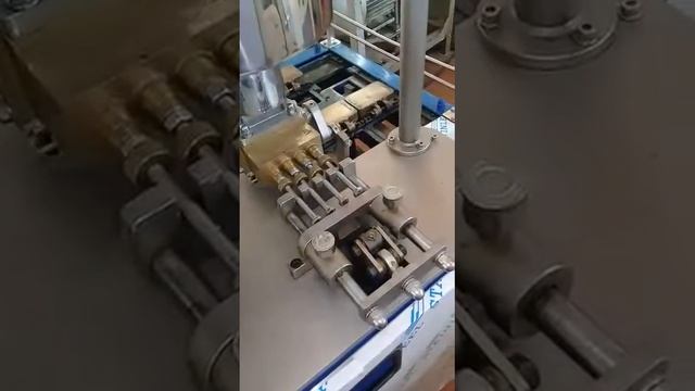 Линия для производства кексов в виде белочки смотреть онлайн