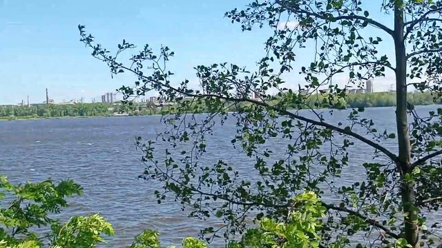 Полуостров Баран на Верх-Исетском водохранилище. Екатеринбург (01.06.2024) смотреть онлайн