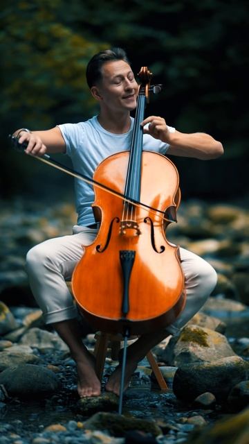 Can t Help Falling in Love❤️Song by Elvis Presley#coversong #cello #music #song #viral #love смотреть онлайн