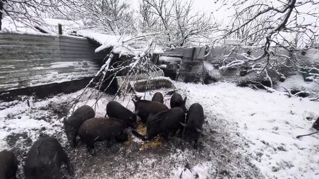 24 февраля 2024 г. смотреть онлайн