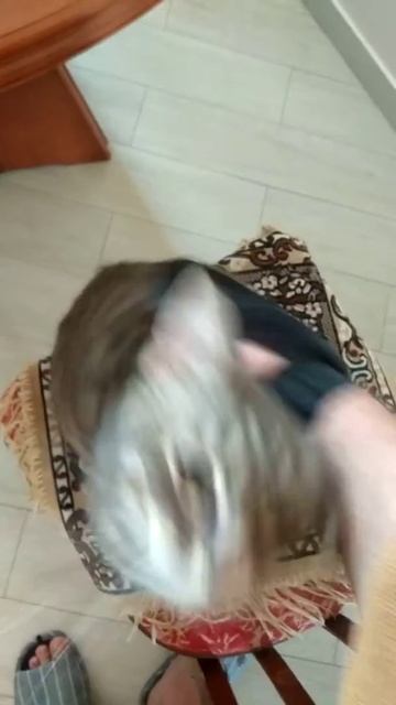 Чудо перчатка смотреть онлайн