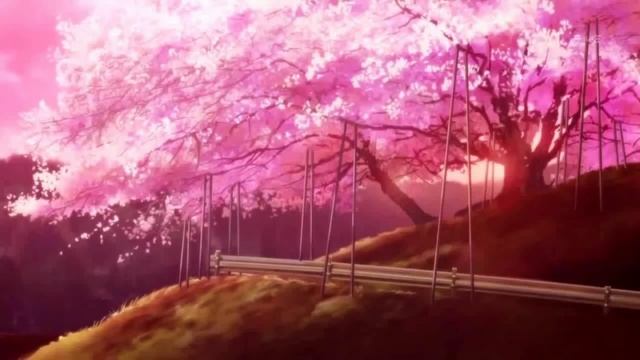 Sakura Land🌸-[Lofihop & Chillhop Music Beats to Study/Relax] смотреть онлайн