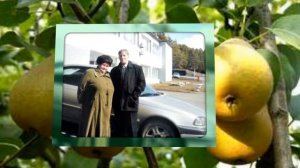 ПРОЙДУ ПО АБРИКОСОВОЙ