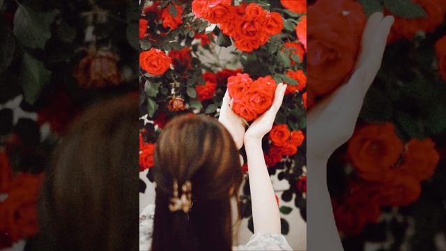 Cover "Mahindji Var" смотреть онлайн