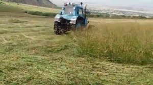 МТЗ-80 косит траву 10августь