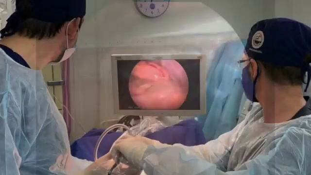 Торакоскопия при буллезной болезни у собаки смотреть онлайн