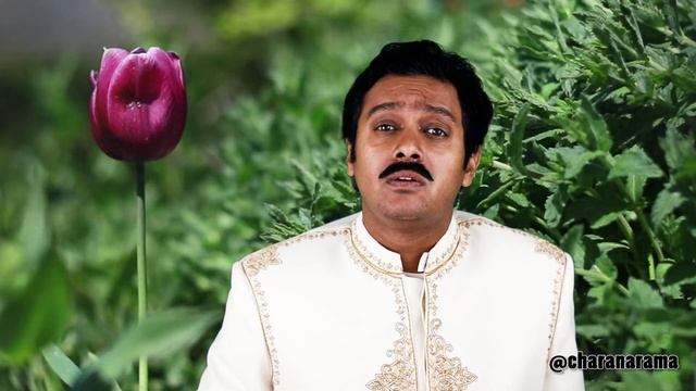 Citrus Bliss - The key to finding bliss during any Cataclysmic event смотреть онлайн