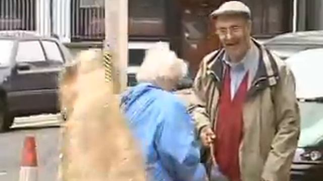 Just For Laughs Gags Gator Aid смотреть онлайн