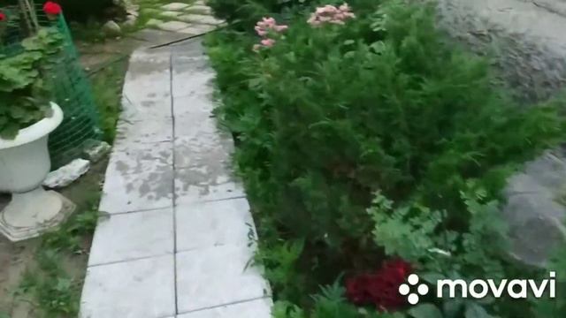 ДОБРЫЙ ДЕНЬ! ПРЕКРАСНОЕ ЛЕТО! смотреть онлайн