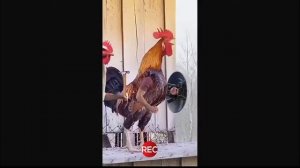 Олеже как снимали А4: Хорошие   vs плохие привычки