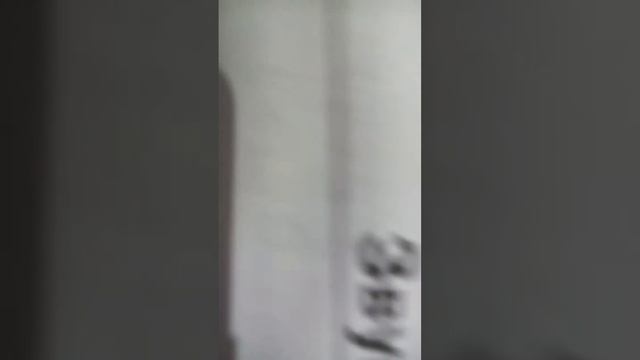 Отрывок справочник школьника для тех кто не знает что такие что такое звуки или буквы на канале ябл смотреть онлайн