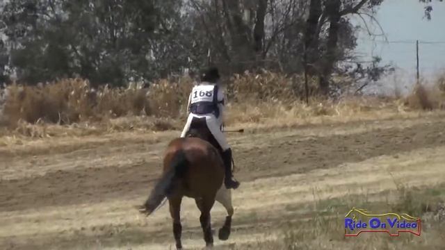 168XC Haven Prizmich on Showman Pago JR Beginner Novice Cross Country FCHP April 2015 смотреть онлайн
