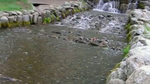 Downtown oasis central loan at Hokkaido University смотреть онлайн