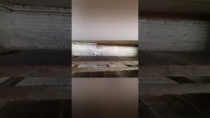 Брудер на 100 цыплят