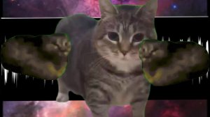 Крутящийся кот UIIAIUIIIAI мем (ULTRA SPINNING CAT)